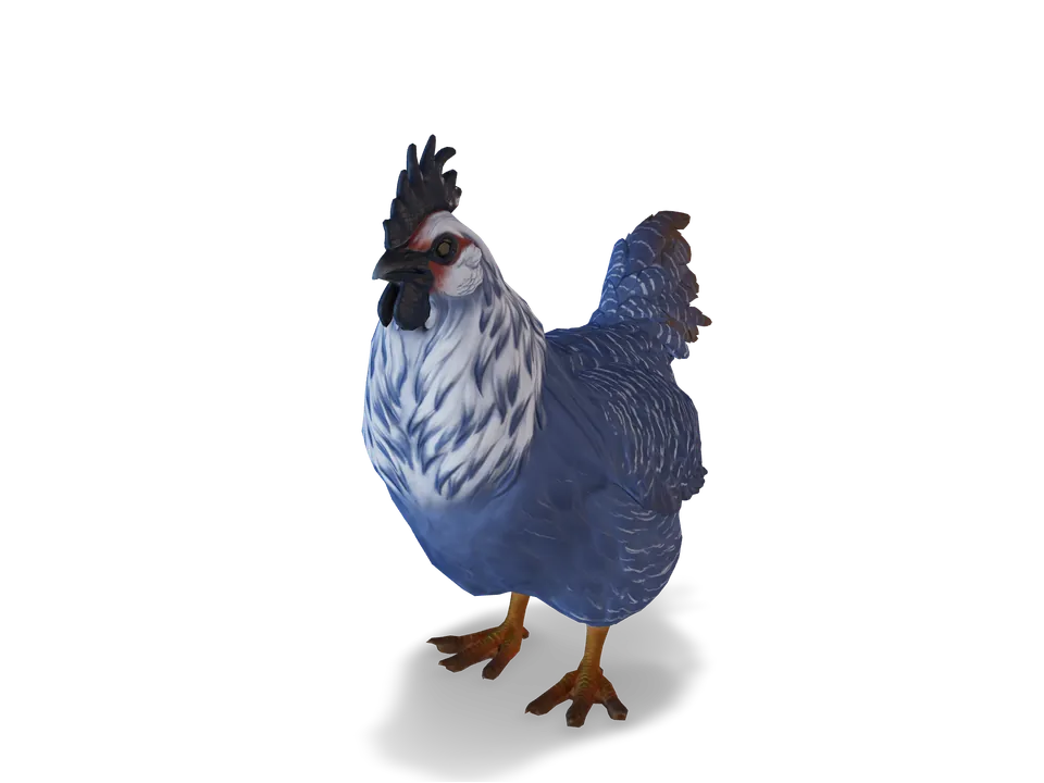 Курка Catalana Blue з CS2 у 3D