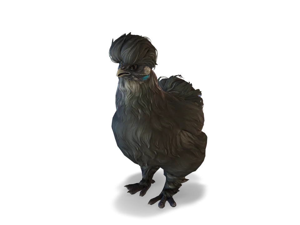Курка Silkie Black з CS2 у 3D