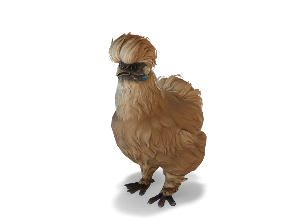 Курка Silkie Brown з CS2 у 3D