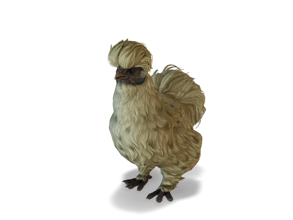 Курка Silkie Leopard з CS2 у 3D