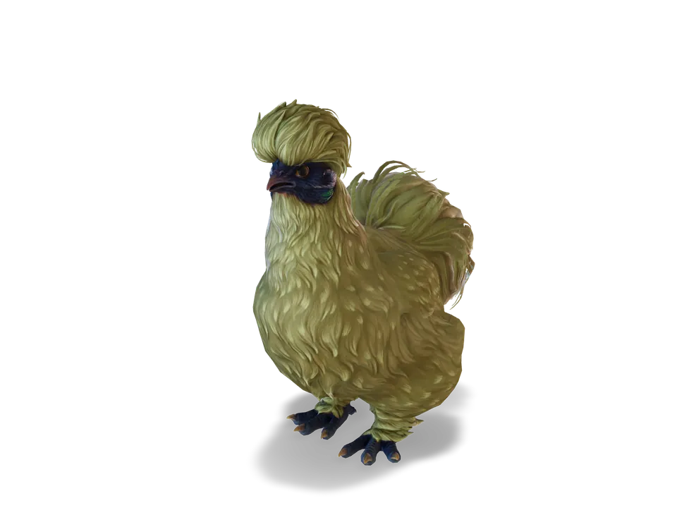 Курка Silkie Orange з CS2 у 3D