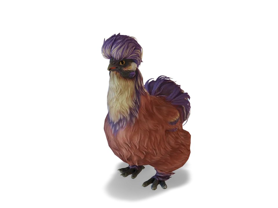 Курка Silkie Red Beetle з CS2 у 3D