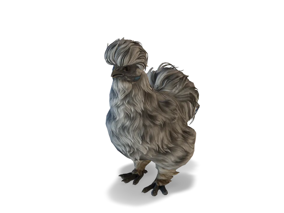 Курка Silkie Splash з CS2 у 3D