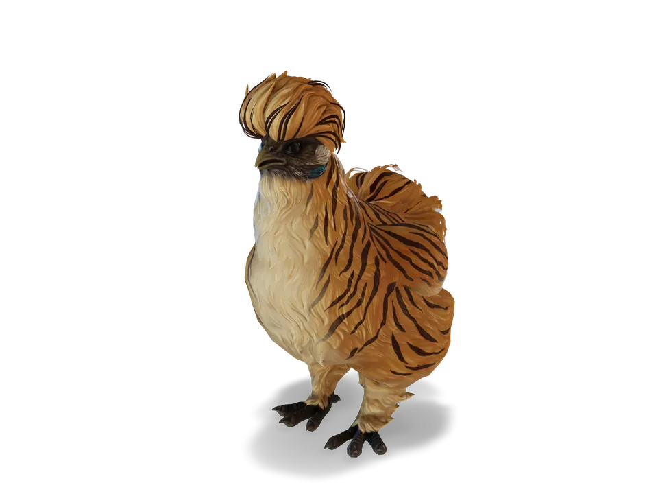 Курка Silkie Tiger з CS2 у 3D