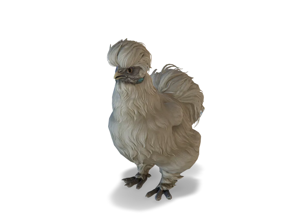 Курка Silkie White з CS2 у 3D