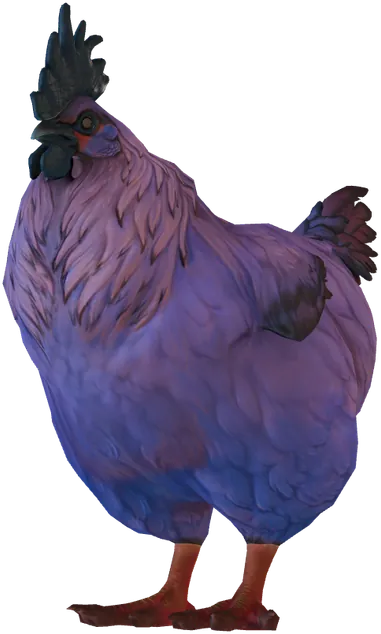 Une poule Catalana Dark Orange sortie bleu-violet, seed 54251