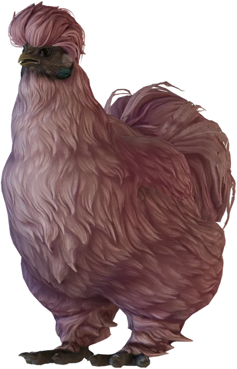 Une poule Silkie Leopard sans taches, seed 63830