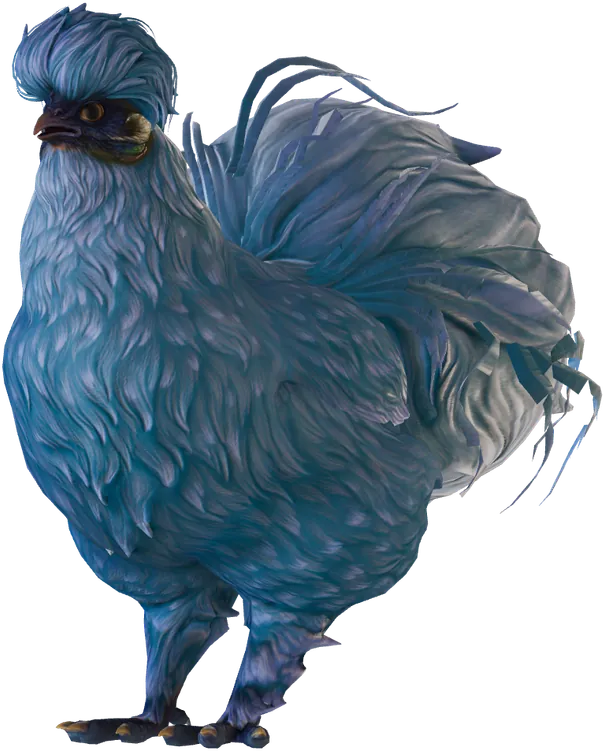 Une poule Silkie Orange sortie presque entièrement bleue, seed 81842